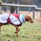 Non-stop - Trekking Fleece Dog Jacket