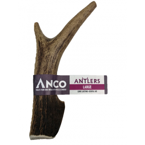 Anco - Antlers