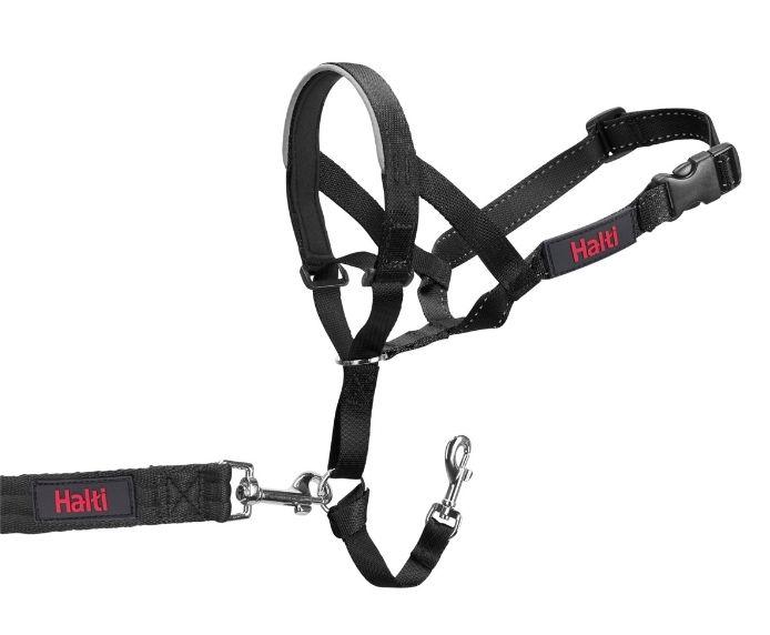 Halti anti pull harness shop