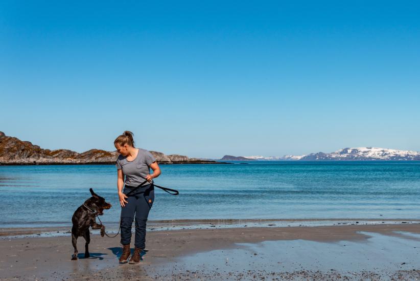 Lifestyle image of the Strong Lead, with a brown dog and their owner stood in front of the ocean.