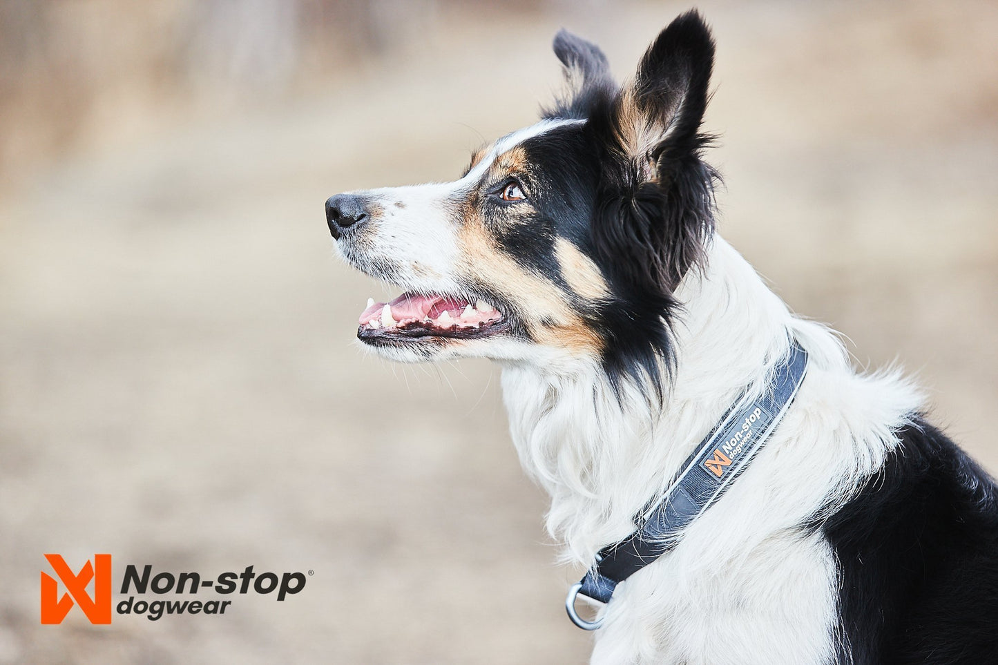 Non-stop Dogwear - Cruise Collar