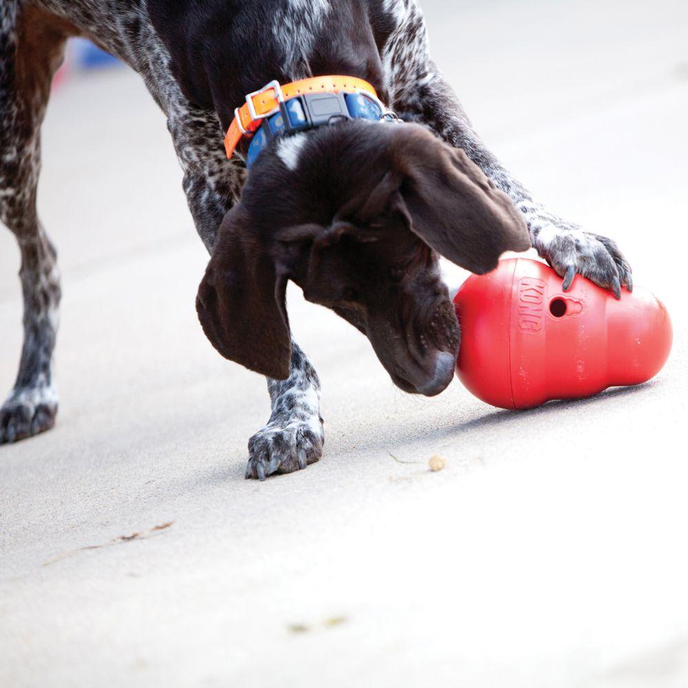 KONG - Treat Wobbler