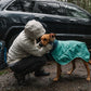 Dog, wearing a Dirtbag Dog Towel, gets a cuddle beside a car.