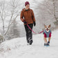 Ruffwear - Polar Trex Dog Boots Pair