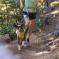 Ruffwear - Trail Runner Leash
