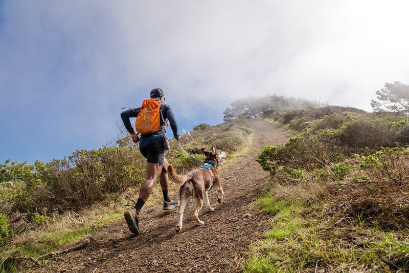 Ruffwear - Hi & Light Harness
