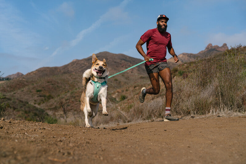 Ruffwear - Hi & Light Harness