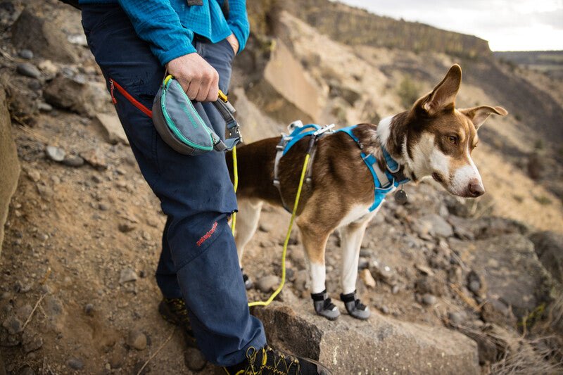 Ruffwear Flagline Harness and Hitch Hiker leash being used on rough terrain.