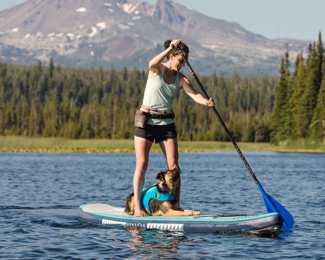 SUP PUP 101: How to Paddleboard with your Dog
