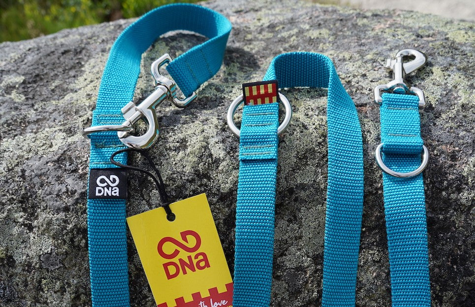 You Asked, We Answered: How to Use a Double-Ended Training Dog Lead