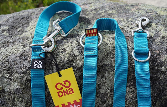 You Asked, We Answered: How to Use a Double-Ended Training Dog Lead