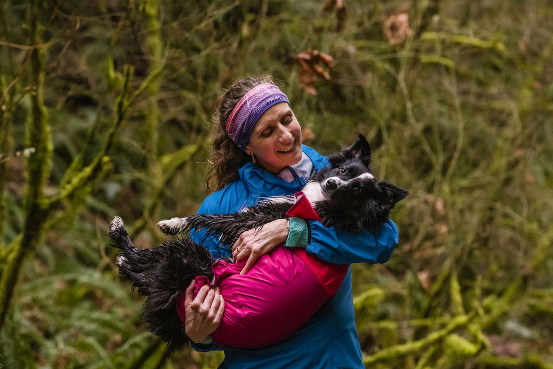Let's Talk Dog Raincoats: A Guide to Raincoats