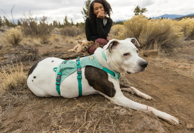 Measuring & Fitting Your Ruffwear Flagline Harness