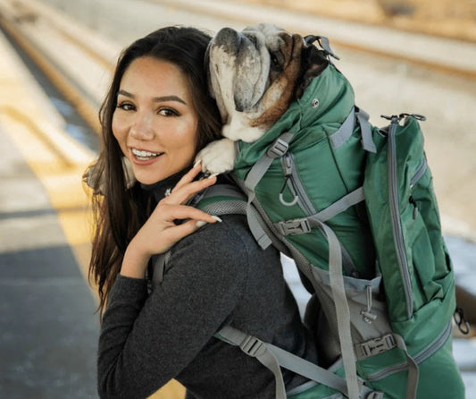 Choosing a K9 Sport Sack Carrier