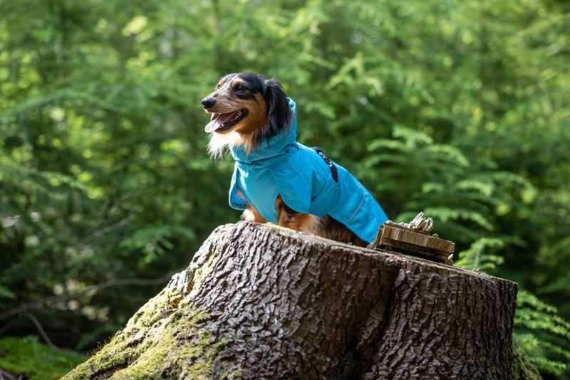 Icepeak - Strike Raincoat *BLACK FRIDAY*