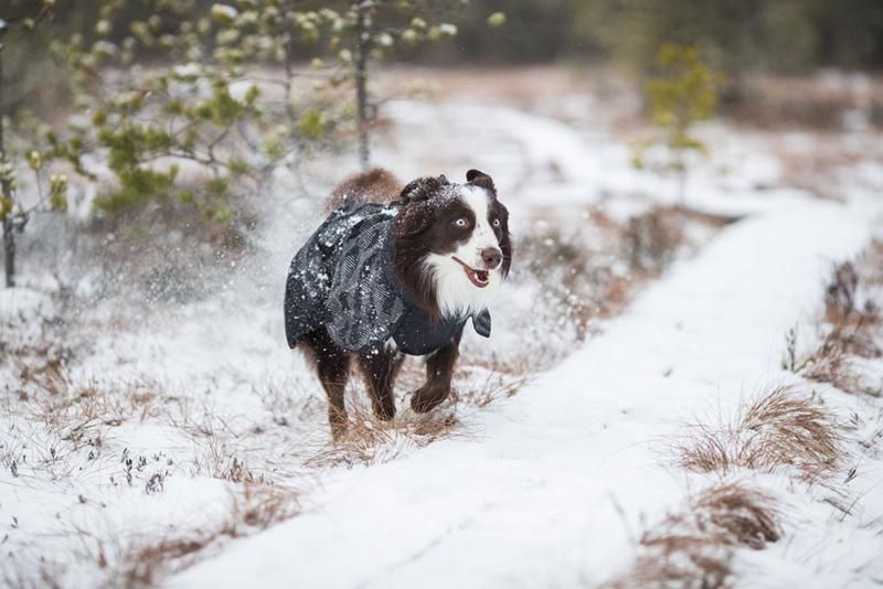 Icepeak - Strike Reflect Raincoat *BLACK FRIDAY*