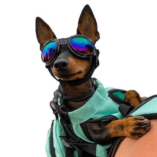 K9 Sport Sack - Goggles