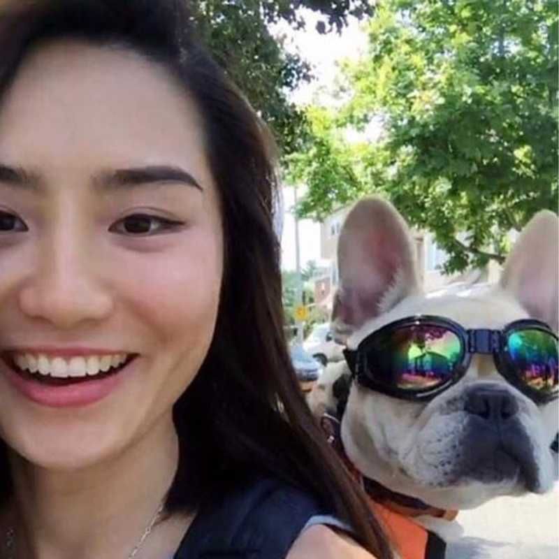 K9 Sport Sack - Goggles