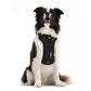 EzyDog - Drive Dog Car Harness