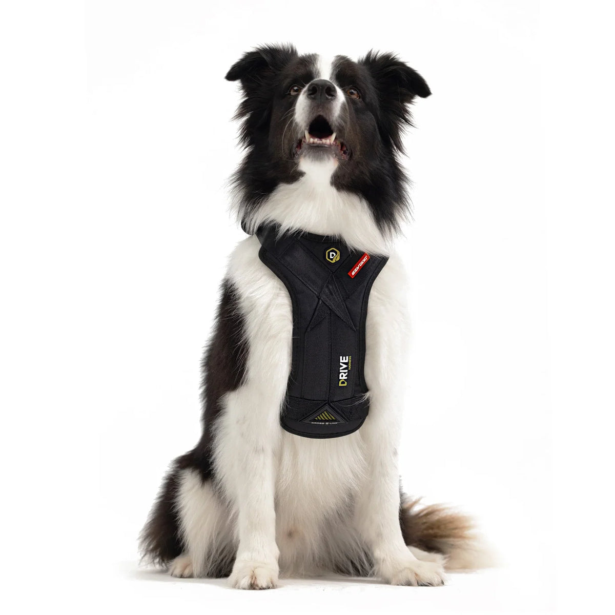 EzyDog - Drive Dog Car Harness