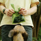 Beco - Unscented Recycled Poop Bags With Handles