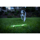 Chuckit! - Max Glow Ultra Fetch Stick
