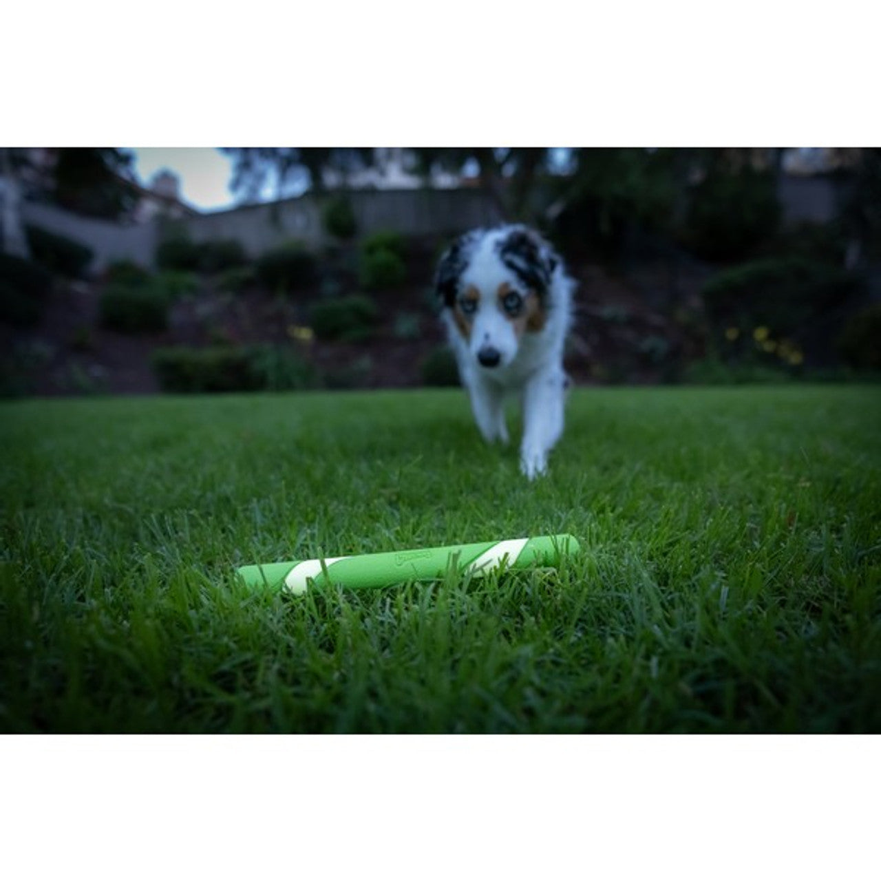 Chuckit! - Max Glow Ultra Fetch Stick