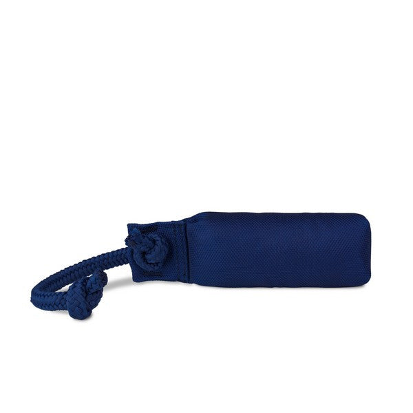 CoA - Coachi Training Dummy