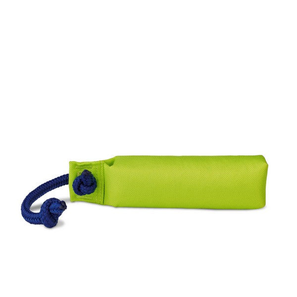CoA - Coachi Training Dummy