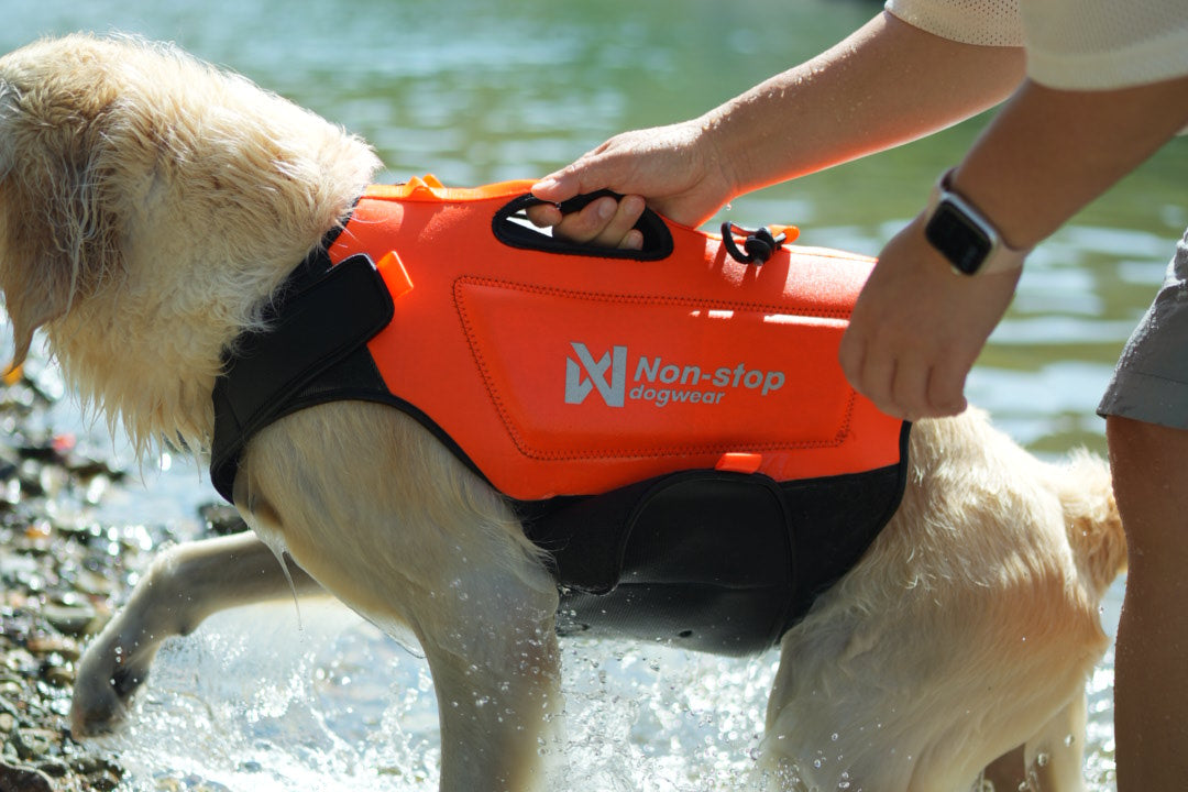 Non-stop - Protector Neoprene Vest