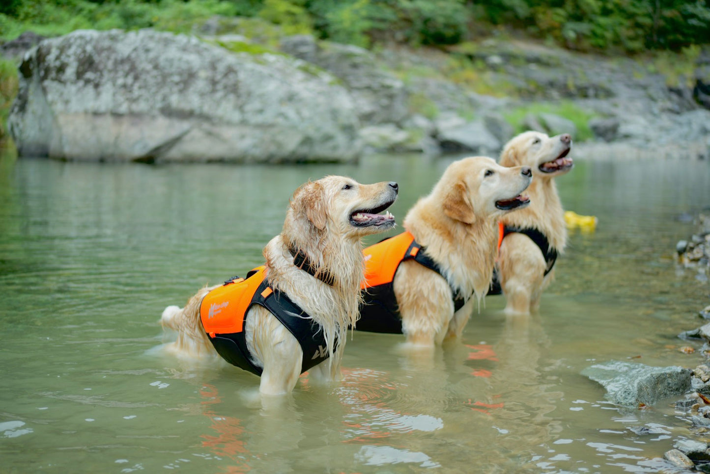 Non-stop - Protector Neoprene Vest