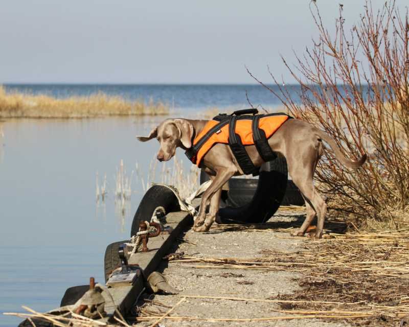 Rukka - Safety Life Vest *BLACK FRIDAY*