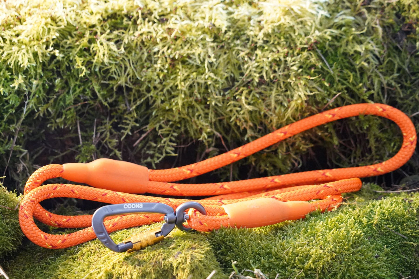 DNA - Ascent Rope Lead