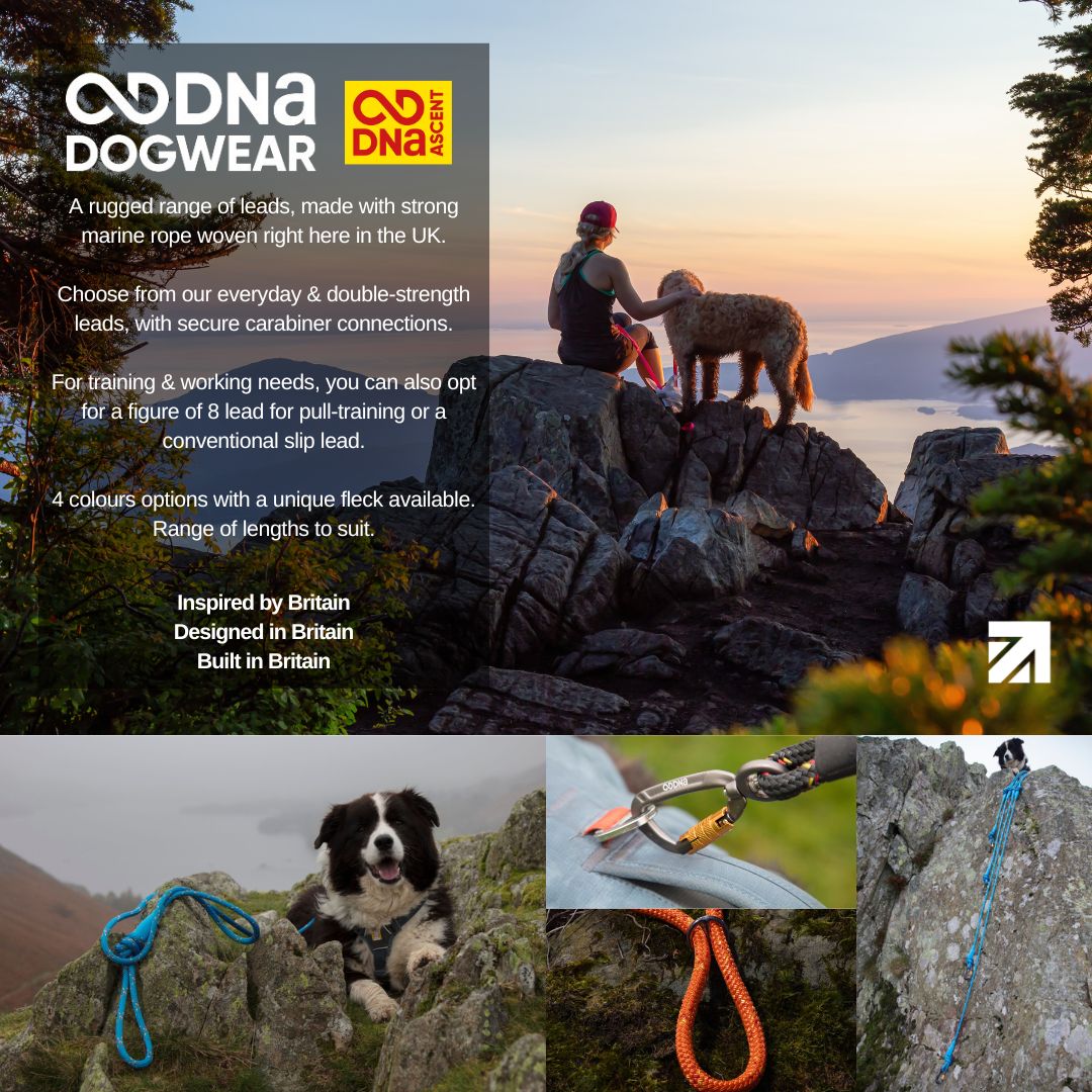DNA - Ascent Rope Lead