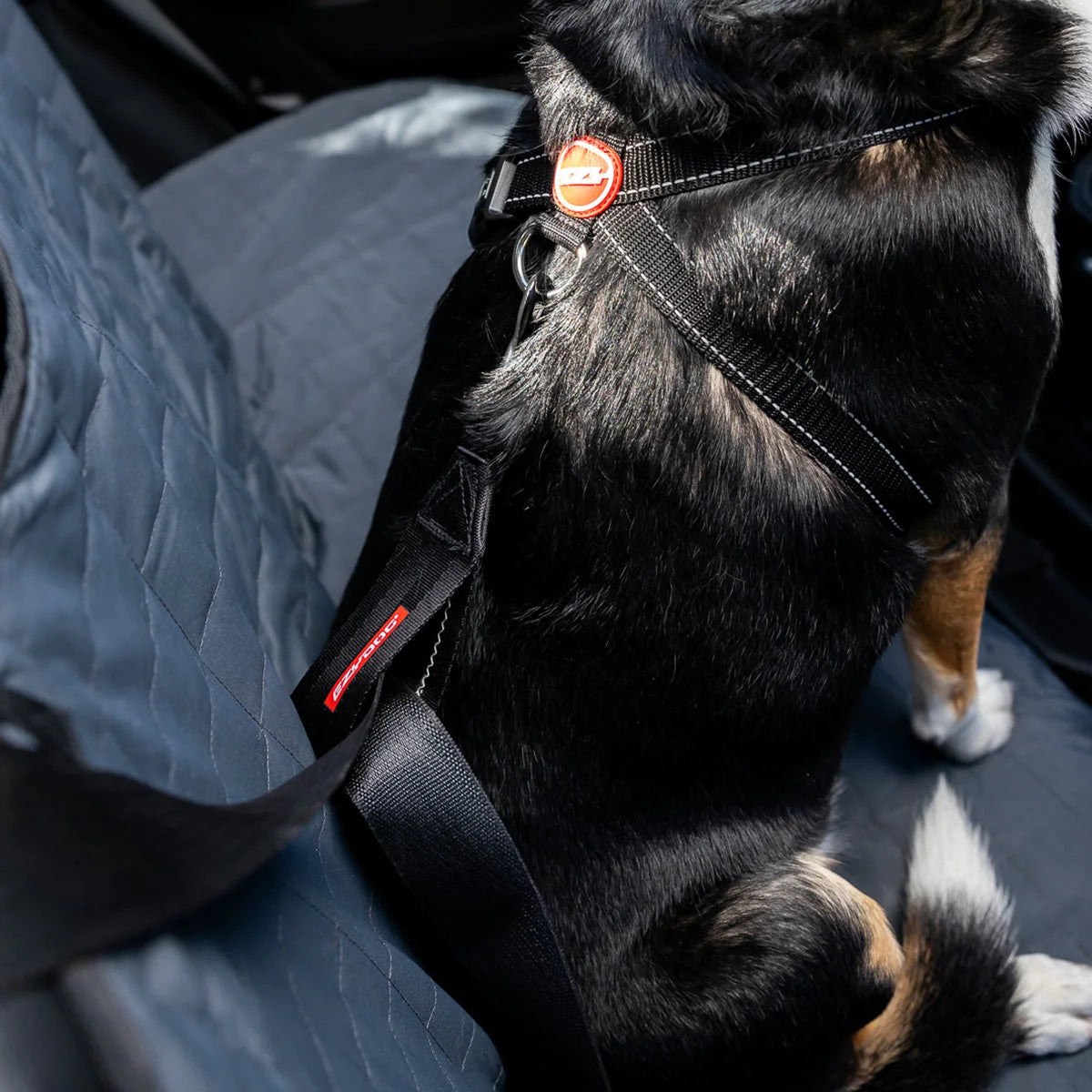 EzyDog - Car Seat Attachment