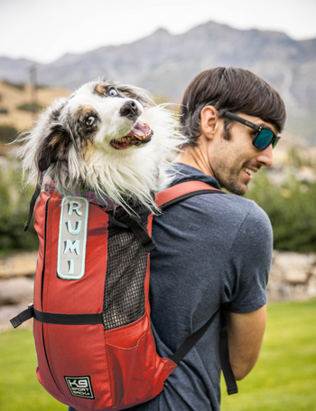Dog Carriers