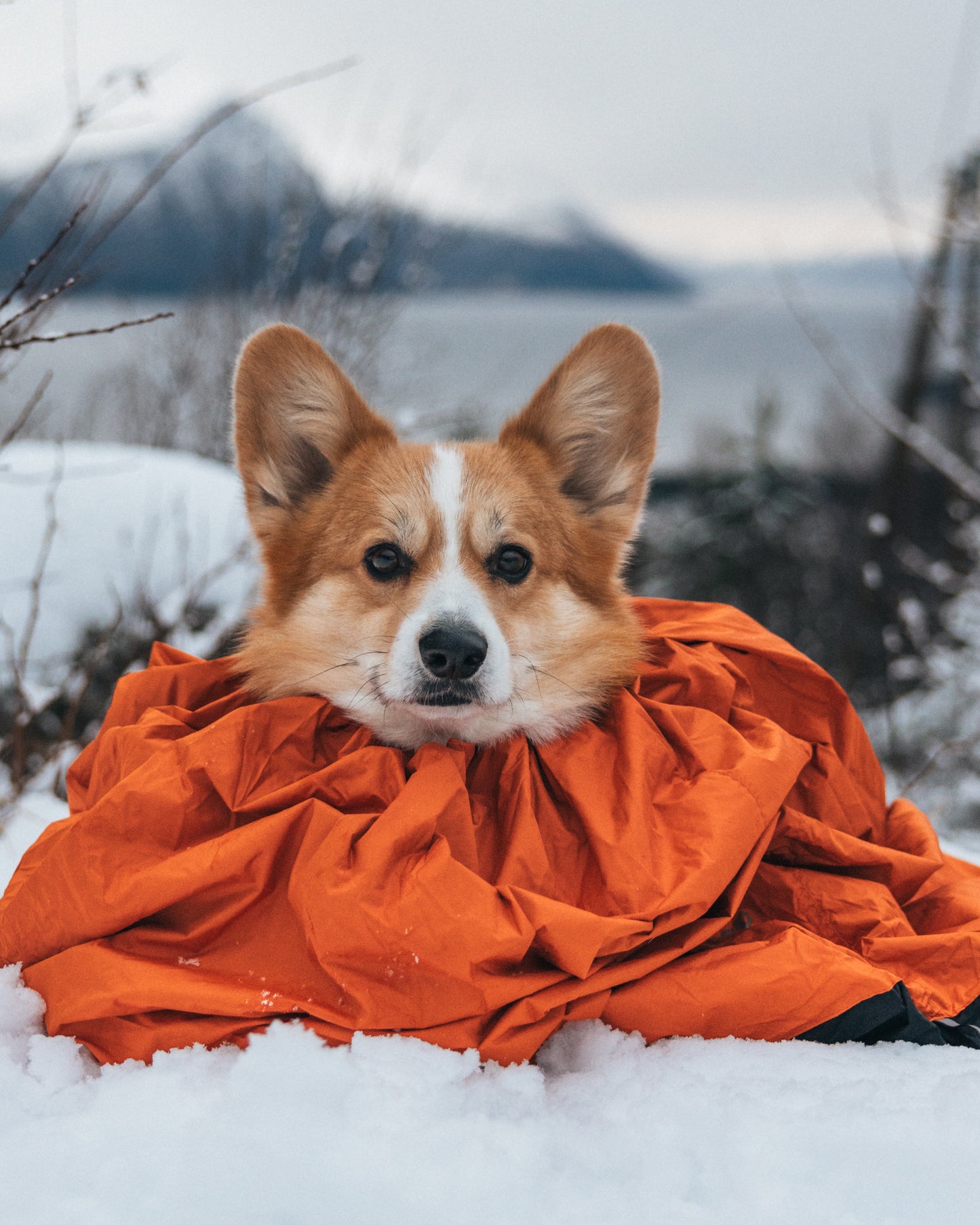 Non-stop - Protector Bivvy Sleeping Bag