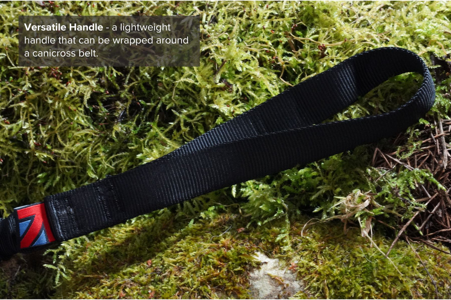 DNA - Shock 2m CaniX Runner Line
