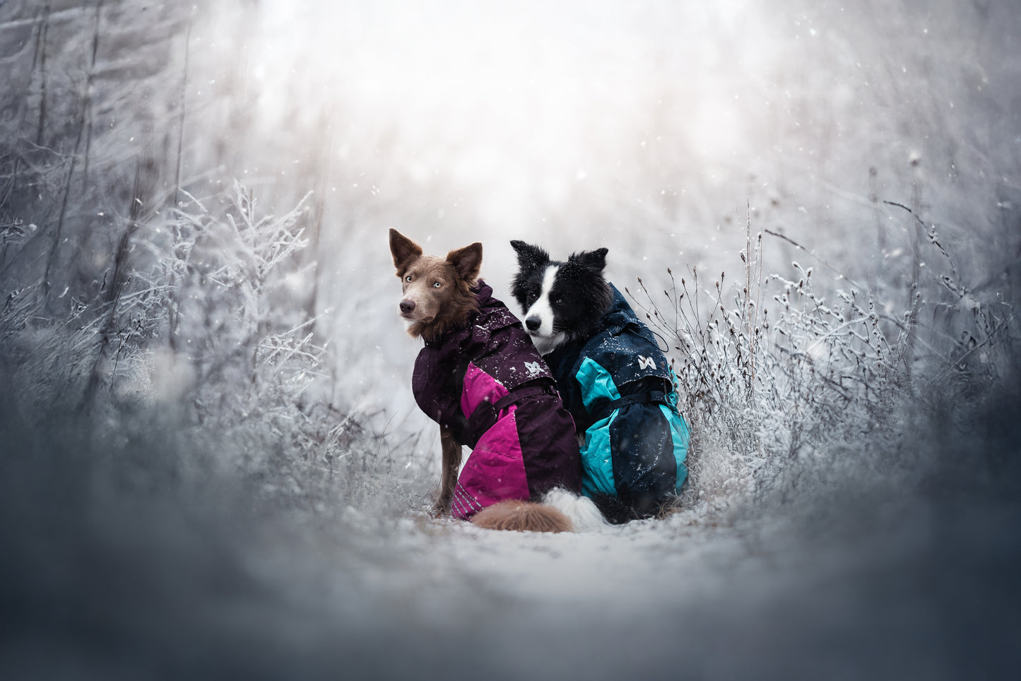 Non-stop - Glacier Jacket v2  *Amazing Offer - Limited Stocks*