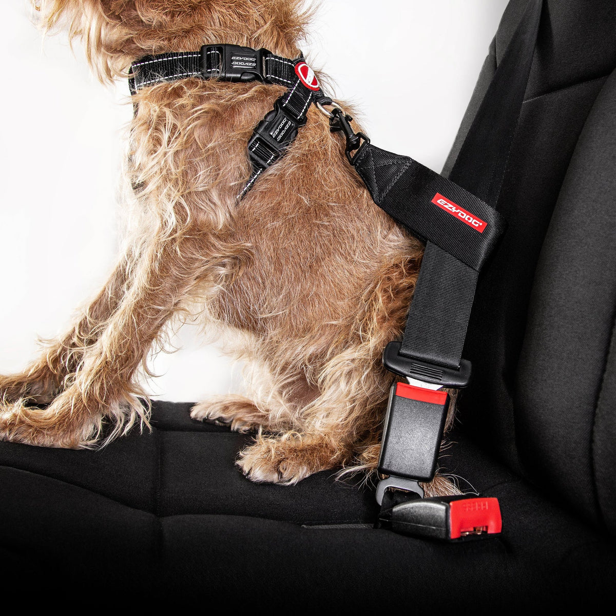 EzyDog - Car Seat Attachment