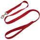 DNA - Explorer Lead - 1.5M