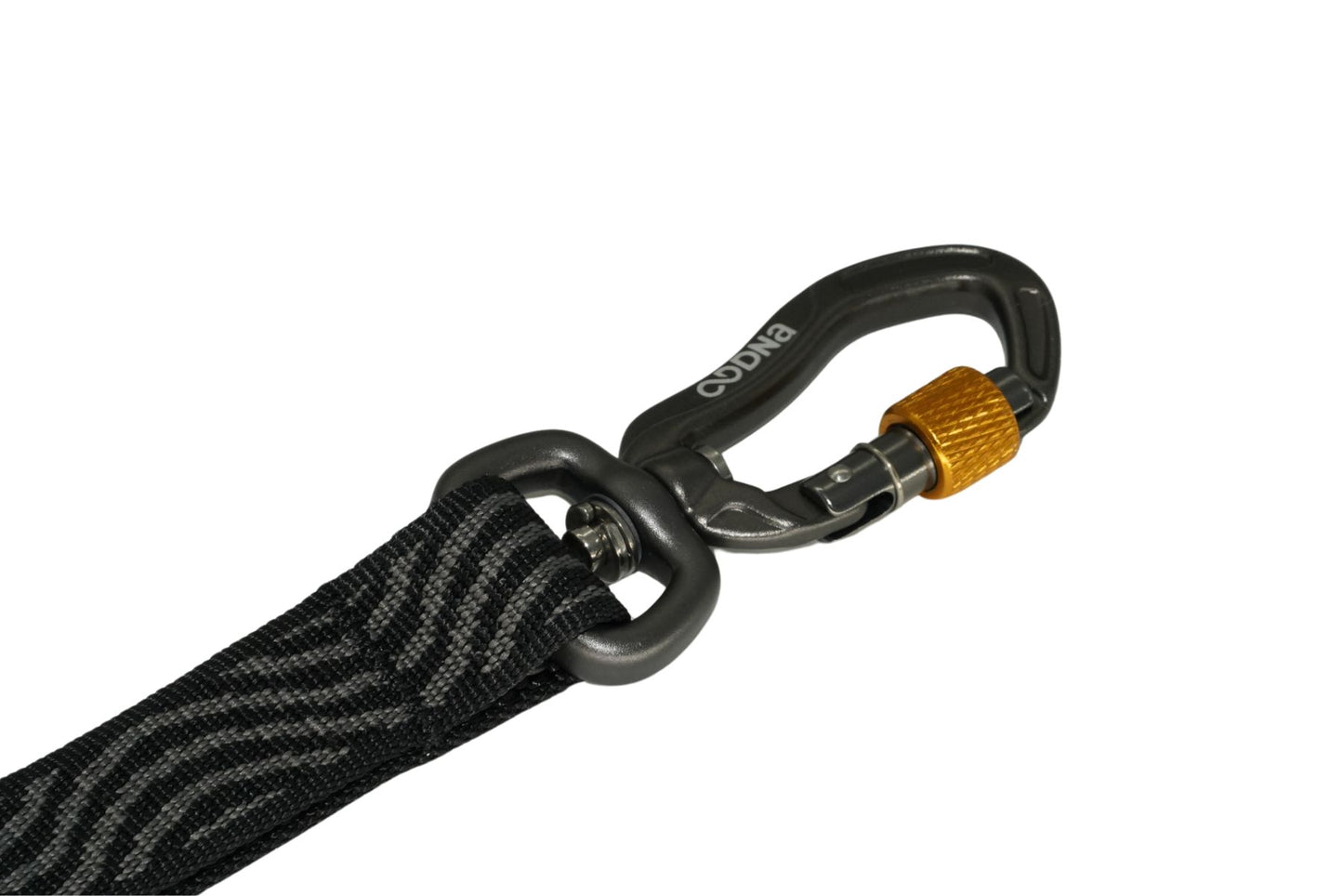 DNA - Explorer Pro Lead