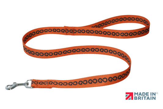 DNA - Summit Lead  - CRAZY PRICE