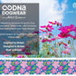 DNA - Artist Blooms Pro Collar
