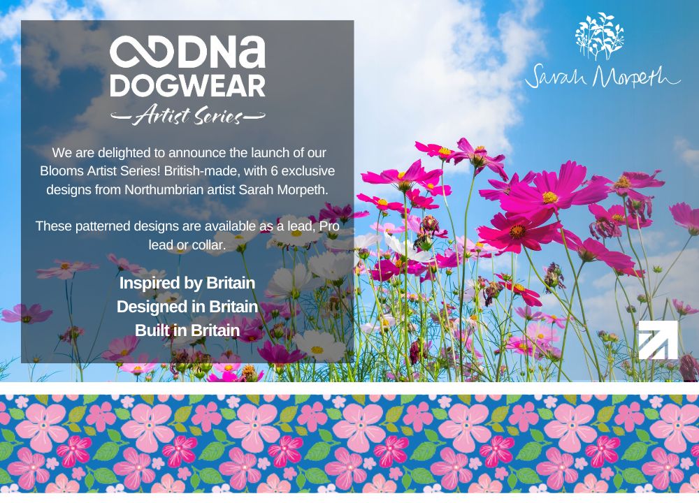 DNA - Artist Blooms Pro Collar