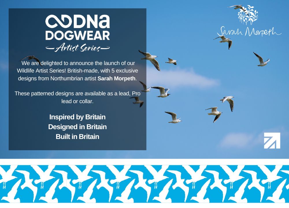 DNA - Artist Wildlife Pro Collar - Gull Glide *SALE*