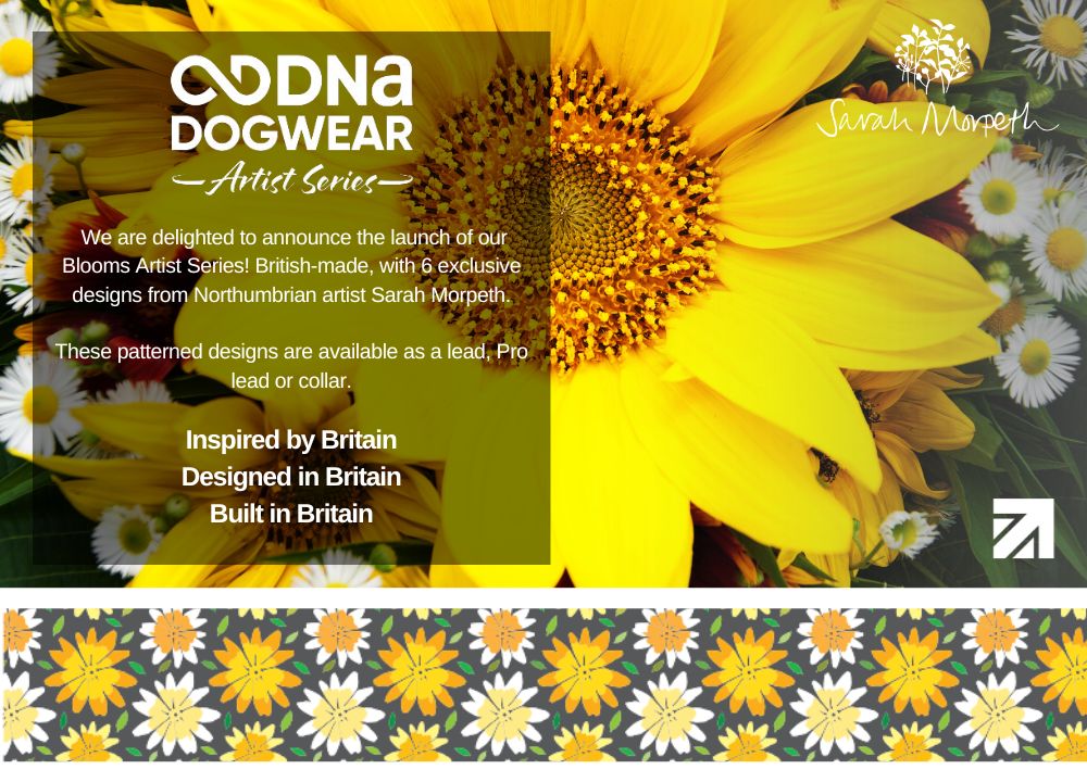 DNA - Artist Blooms Pro Collar