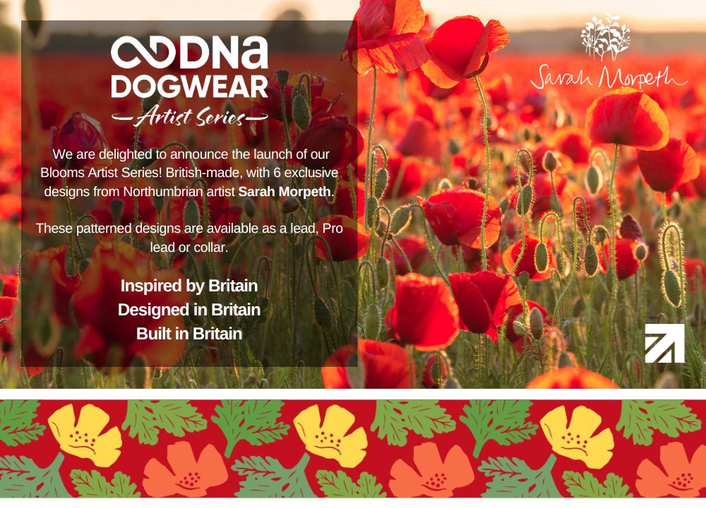 DNA - Artist Blooms Pro Collar