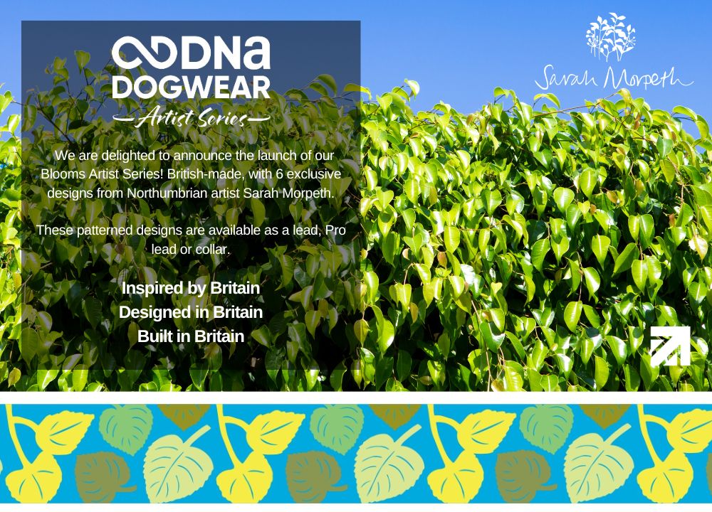 DNA - Artist Blooms Pro Lead - Summer Hedgerow *SALE*