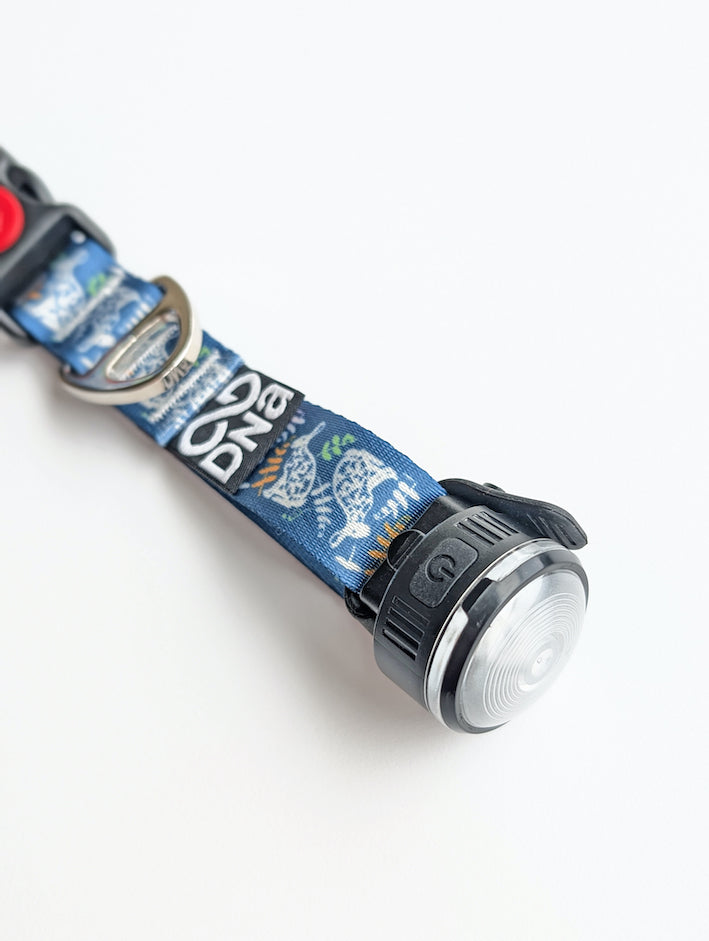 HoundHeadz - Halo Rechargeable Light